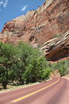 Explore Roadside Nature - Zion Road